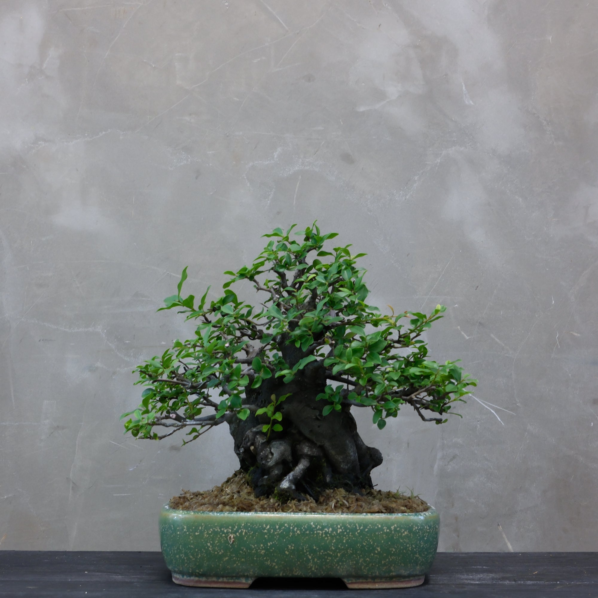 CODE: 25DC006