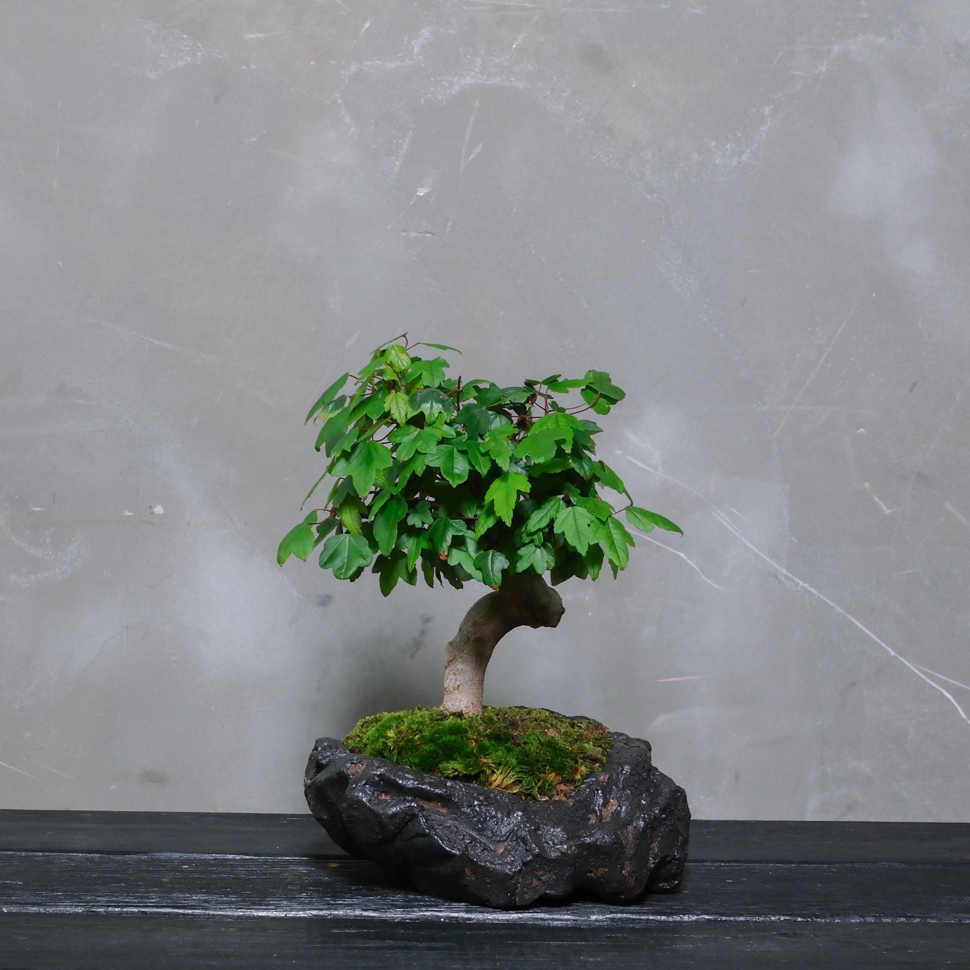CODE: 25DC004
