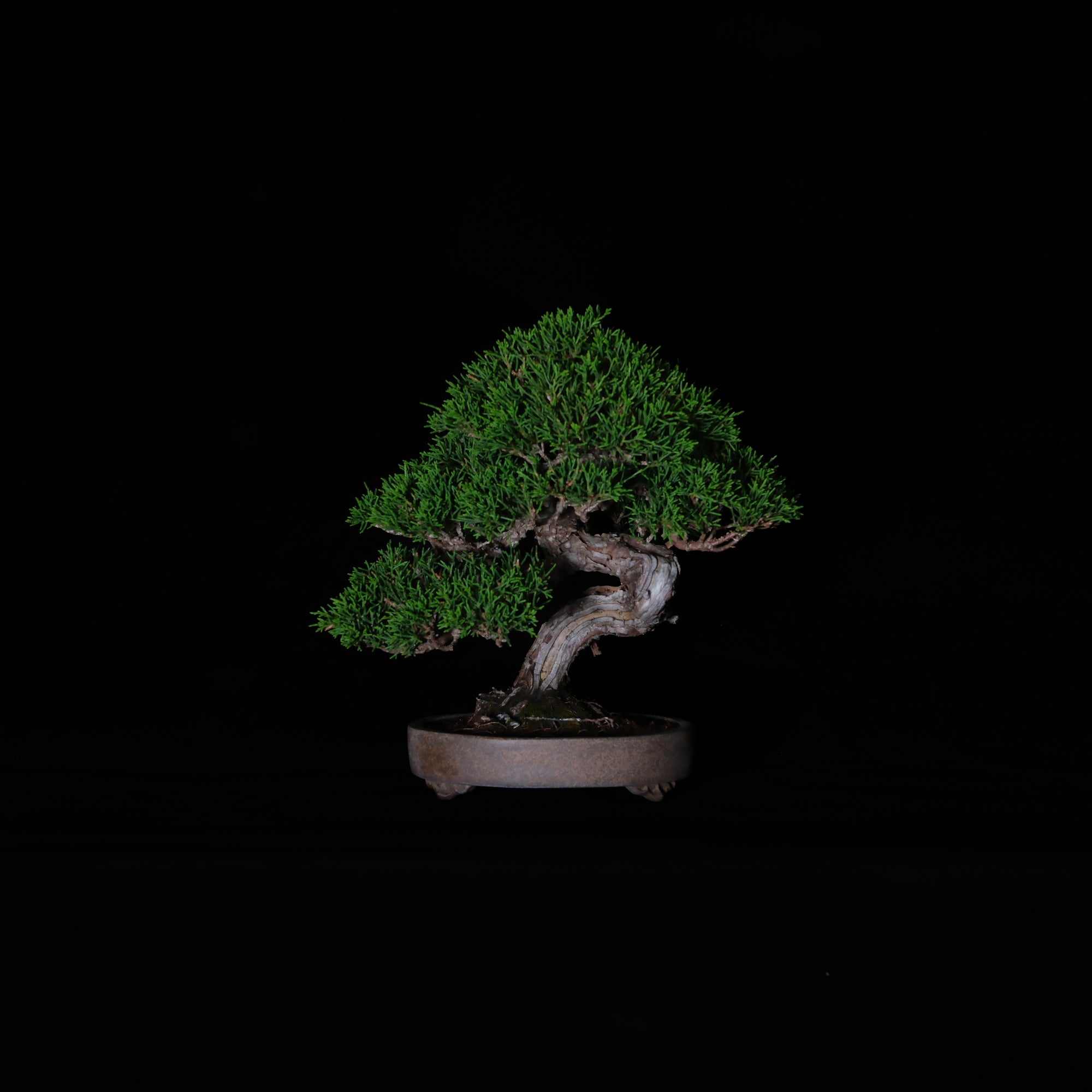 CODE: 26IJ002