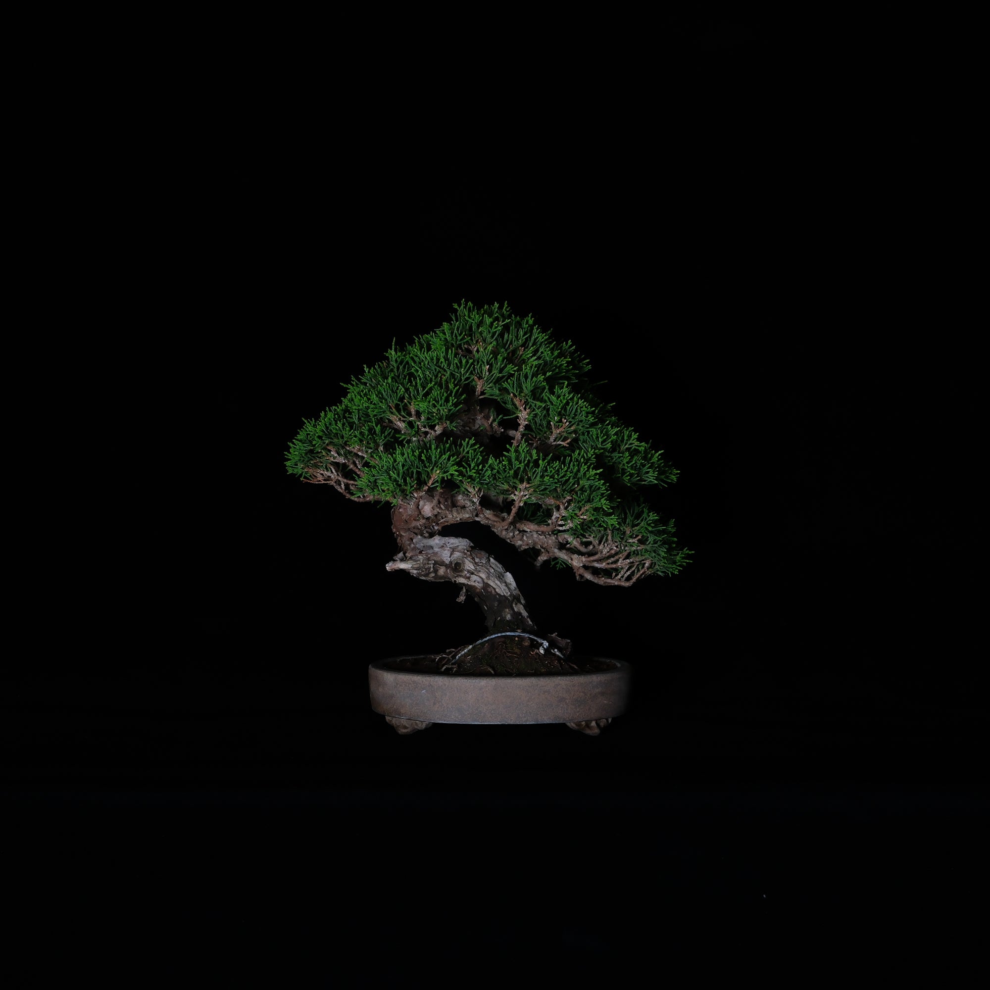 CODE: 26IJ002