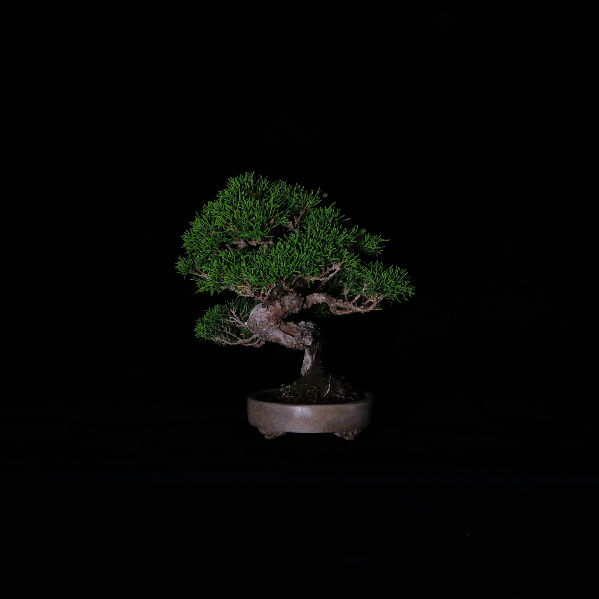 CODE: 26IJ002