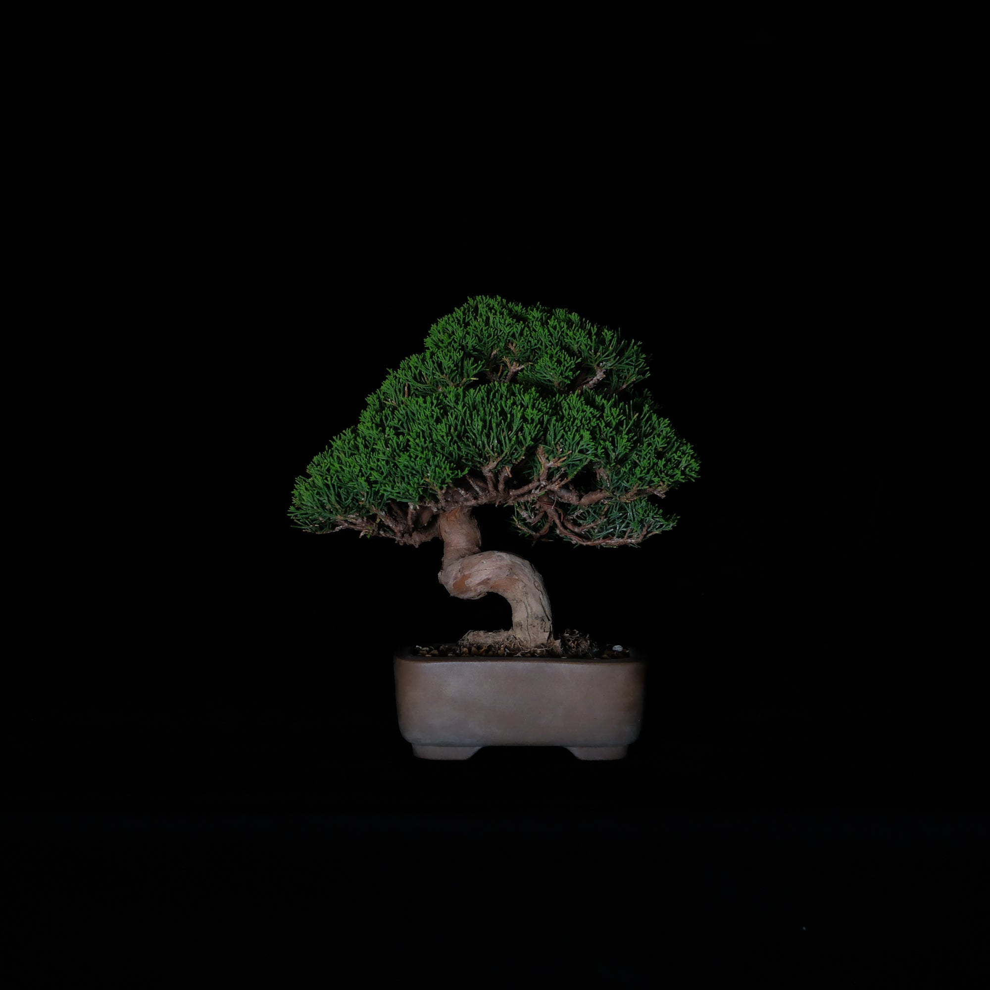 CODE: 26IJ003