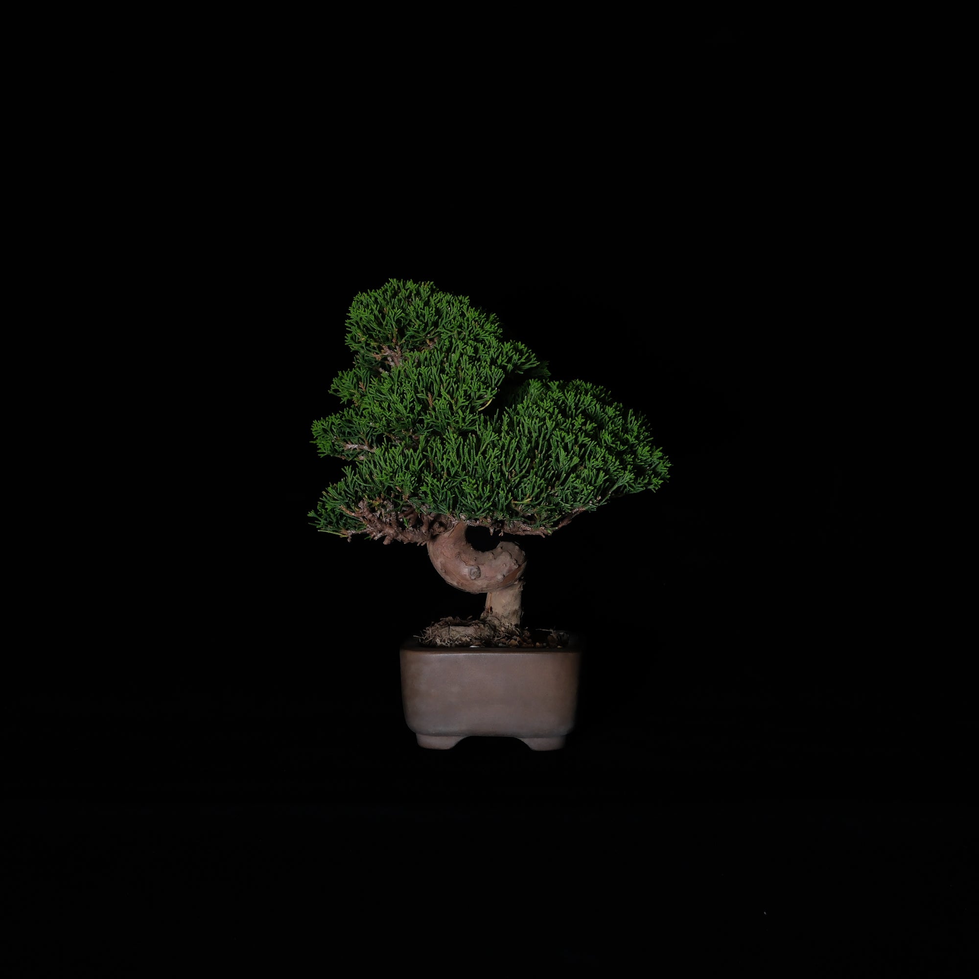 CODE: 26IJ003