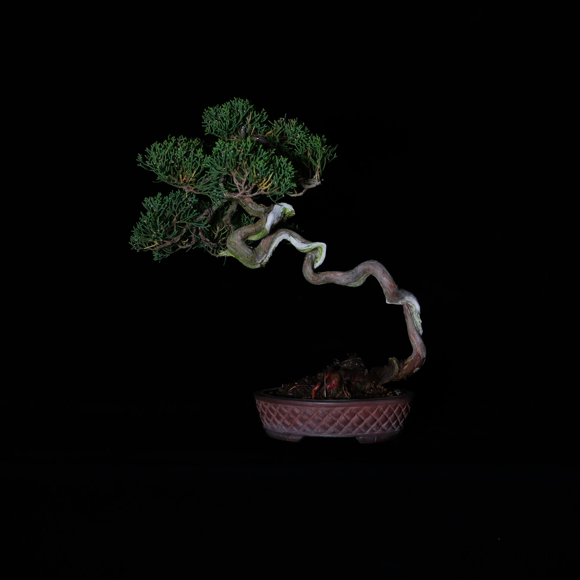 CODE: 26IJ004