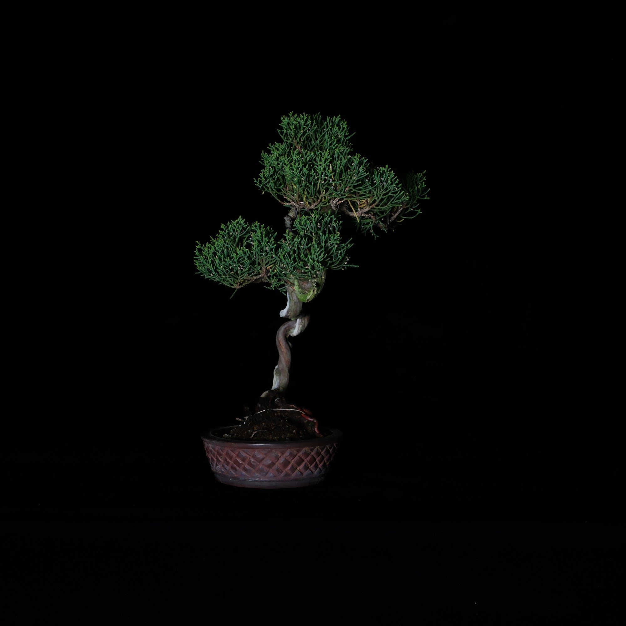CODE: 26IJ004