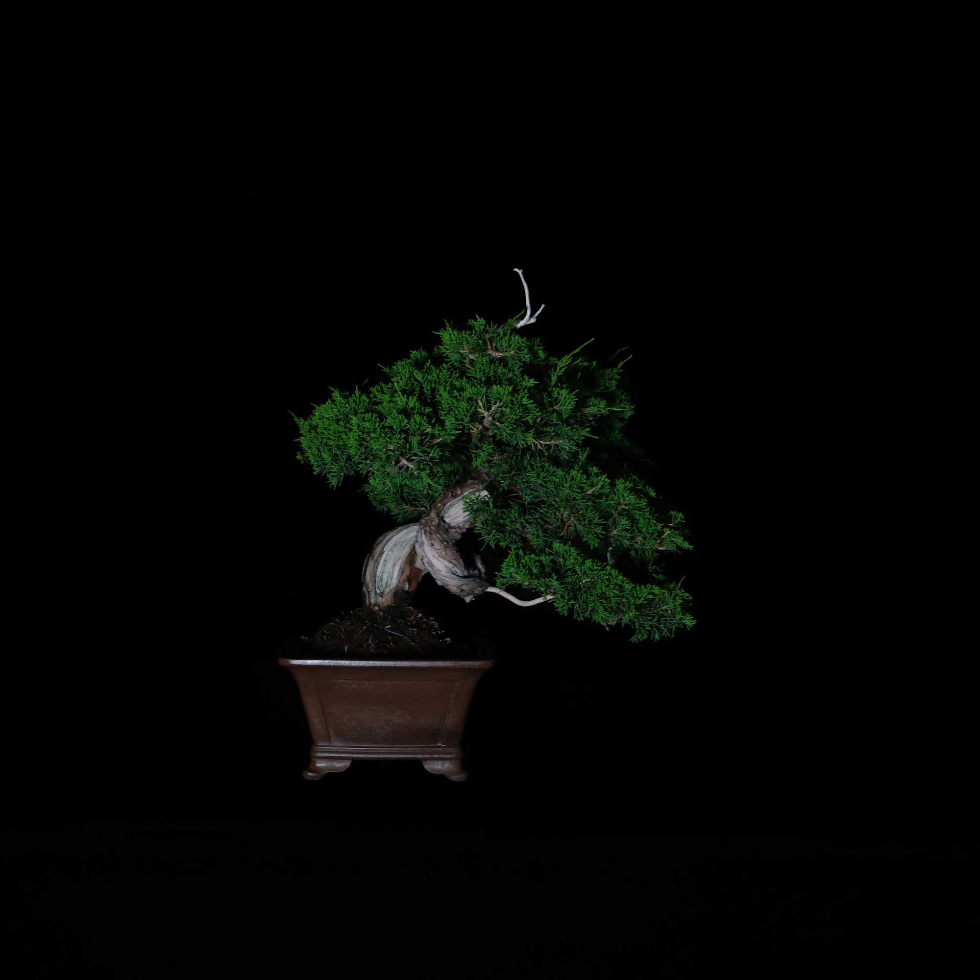 CODE: 26IJ005