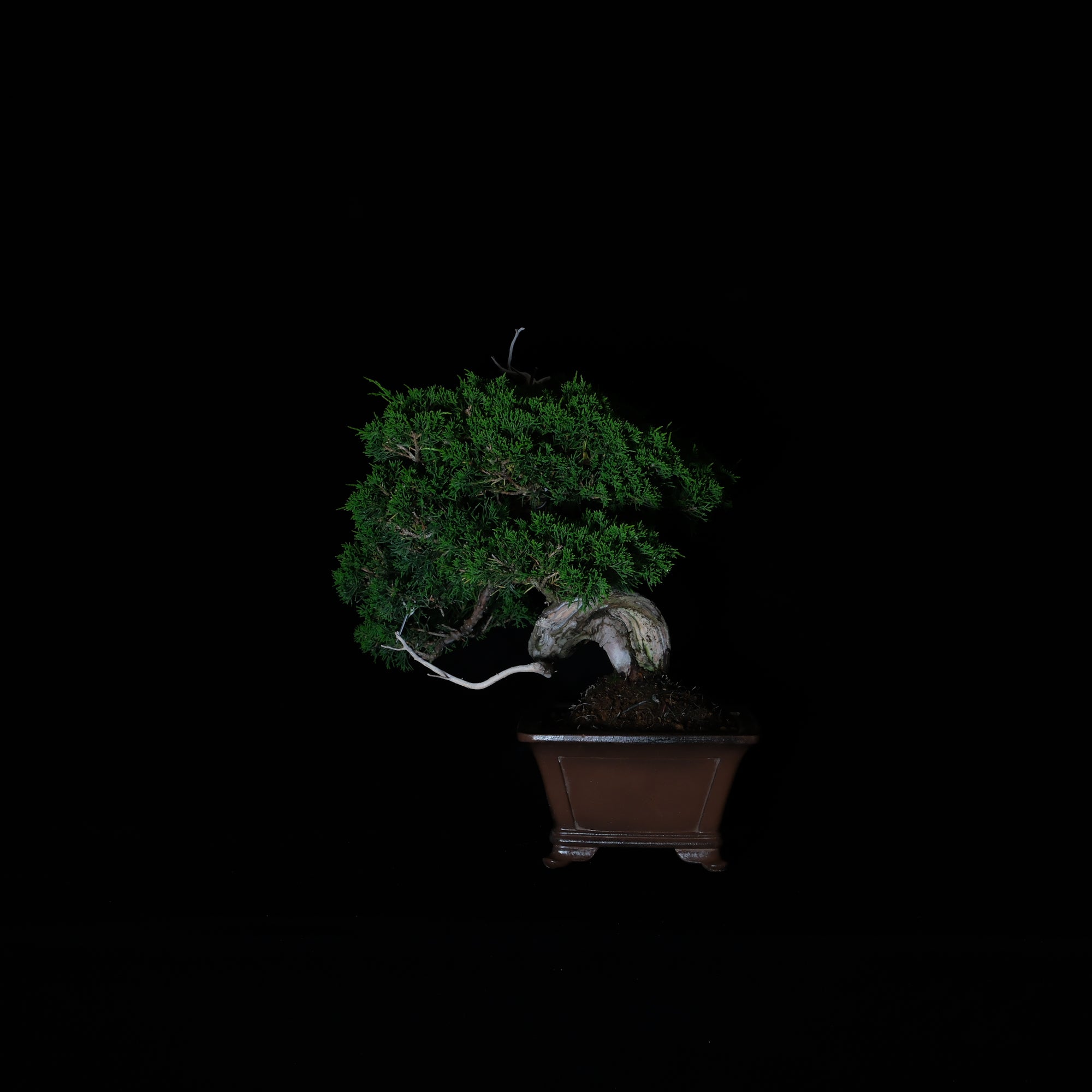 CODE: 26IJ005
