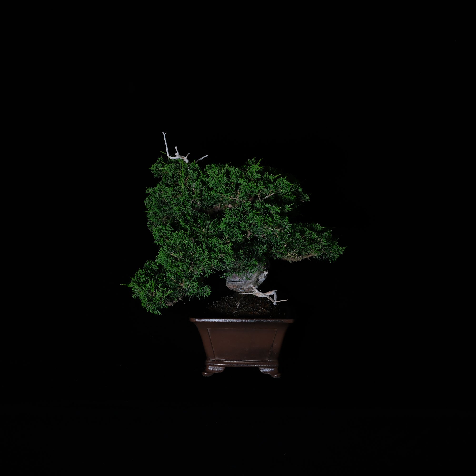 CODE: 26IJ005