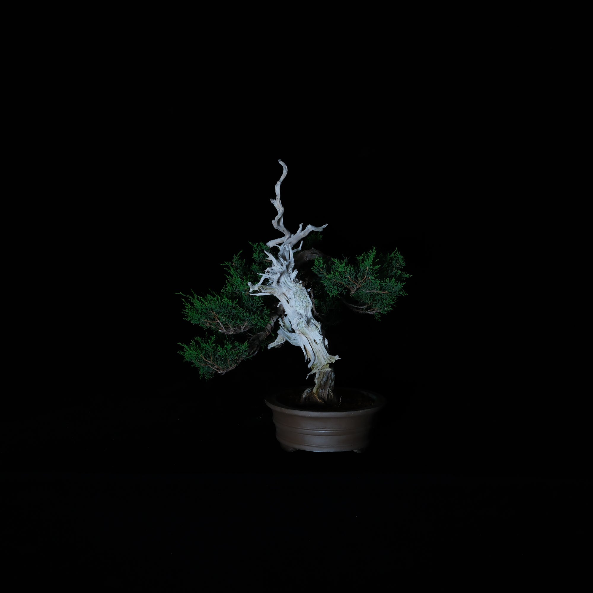 CODE: 25IJ007