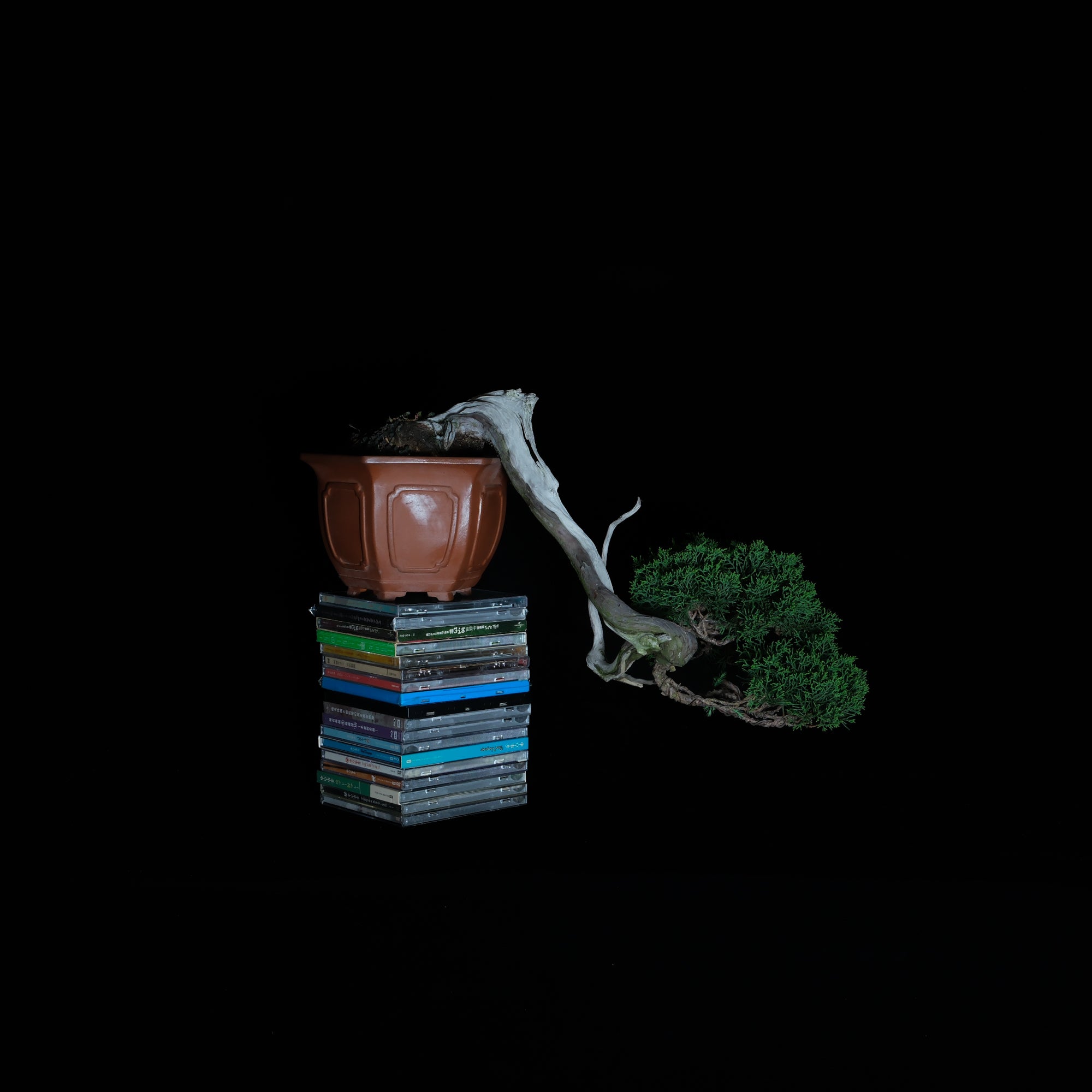 CODE: 26IJ001