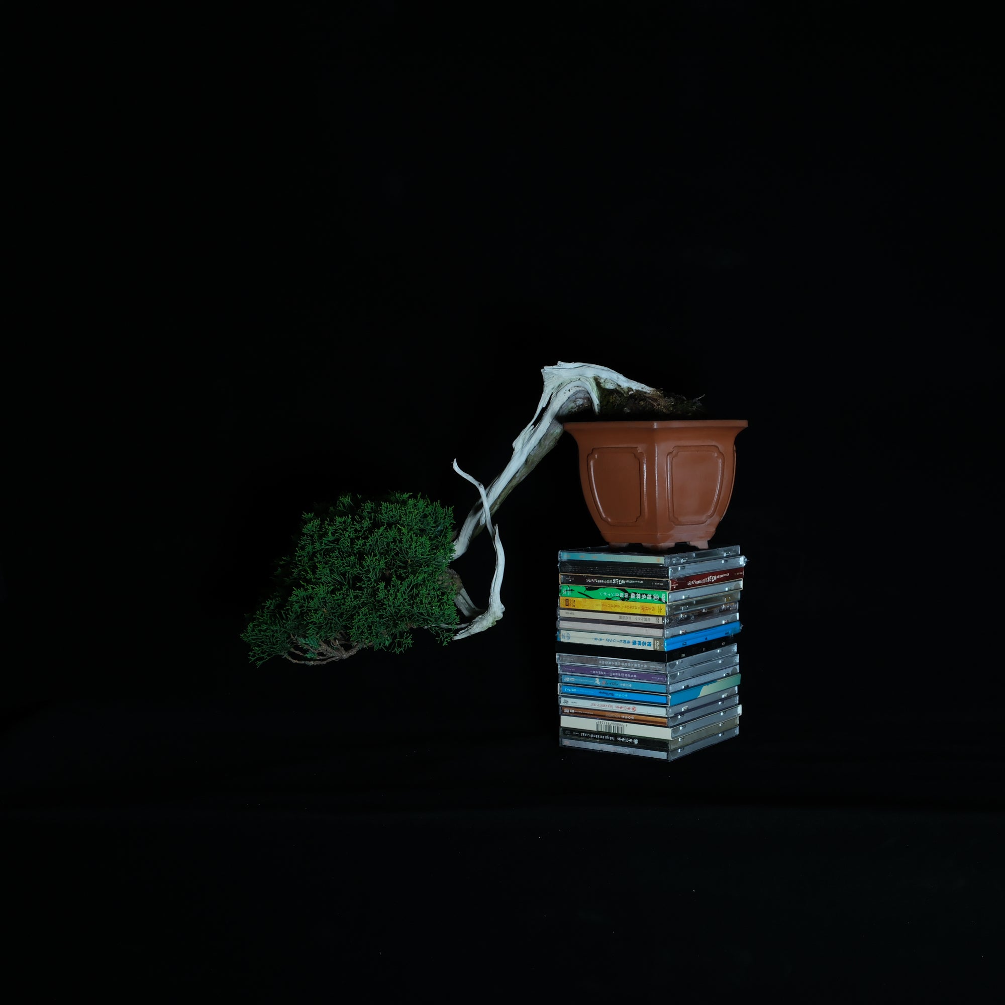 CODE: 26IJ001