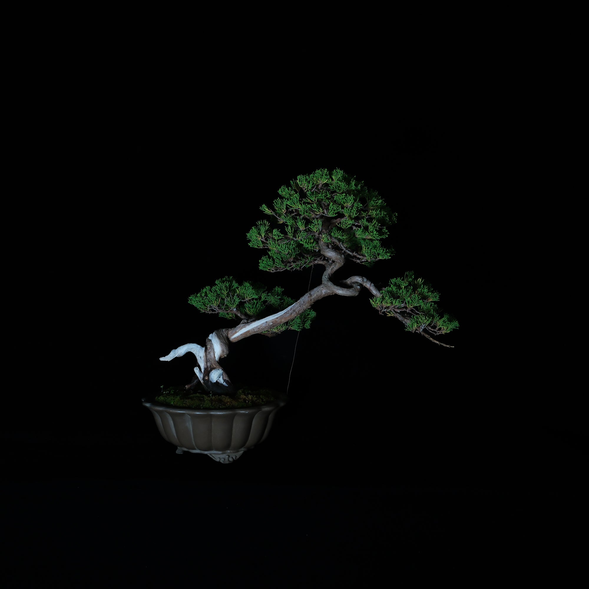 CODE: 25IJ007