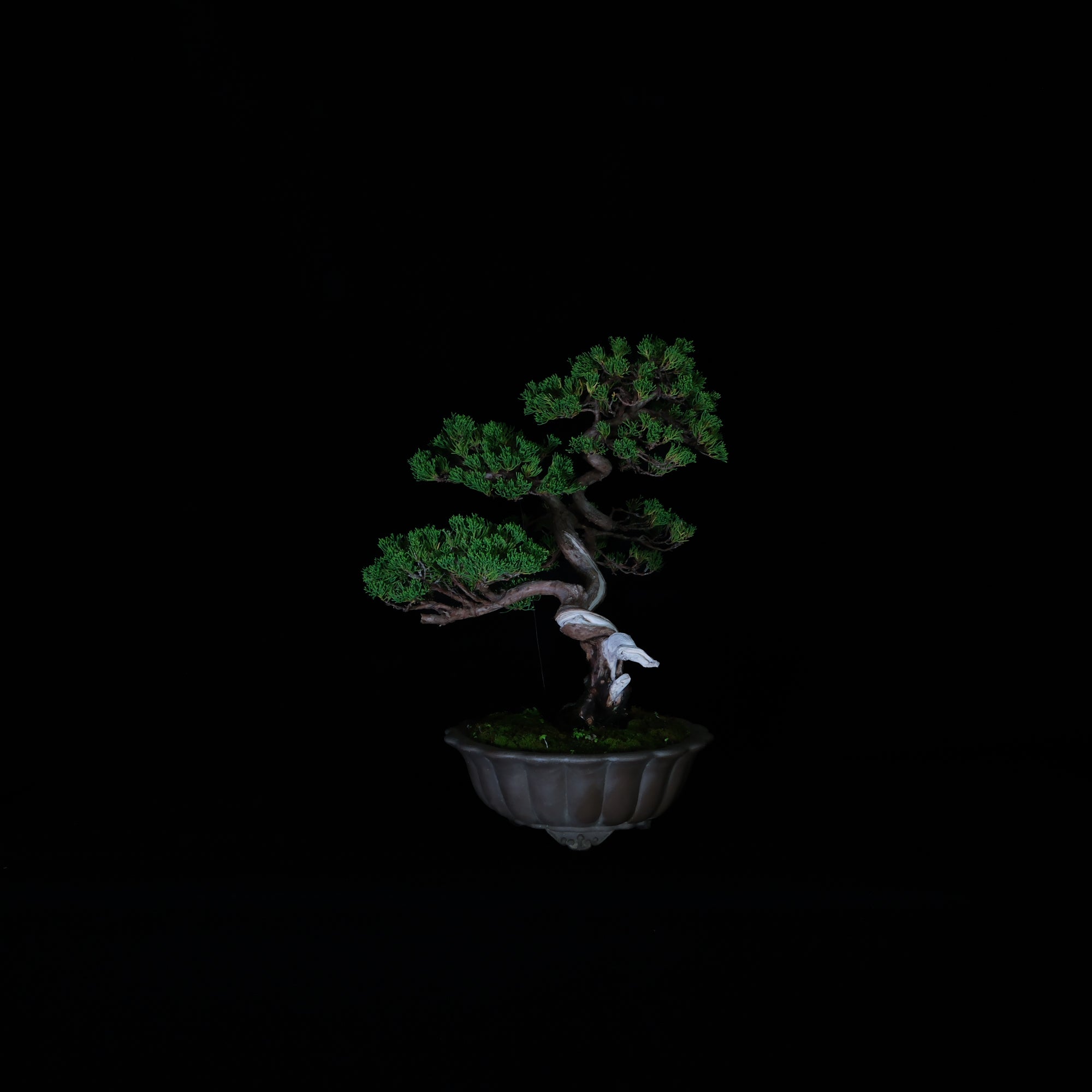CODE: 26IJ007