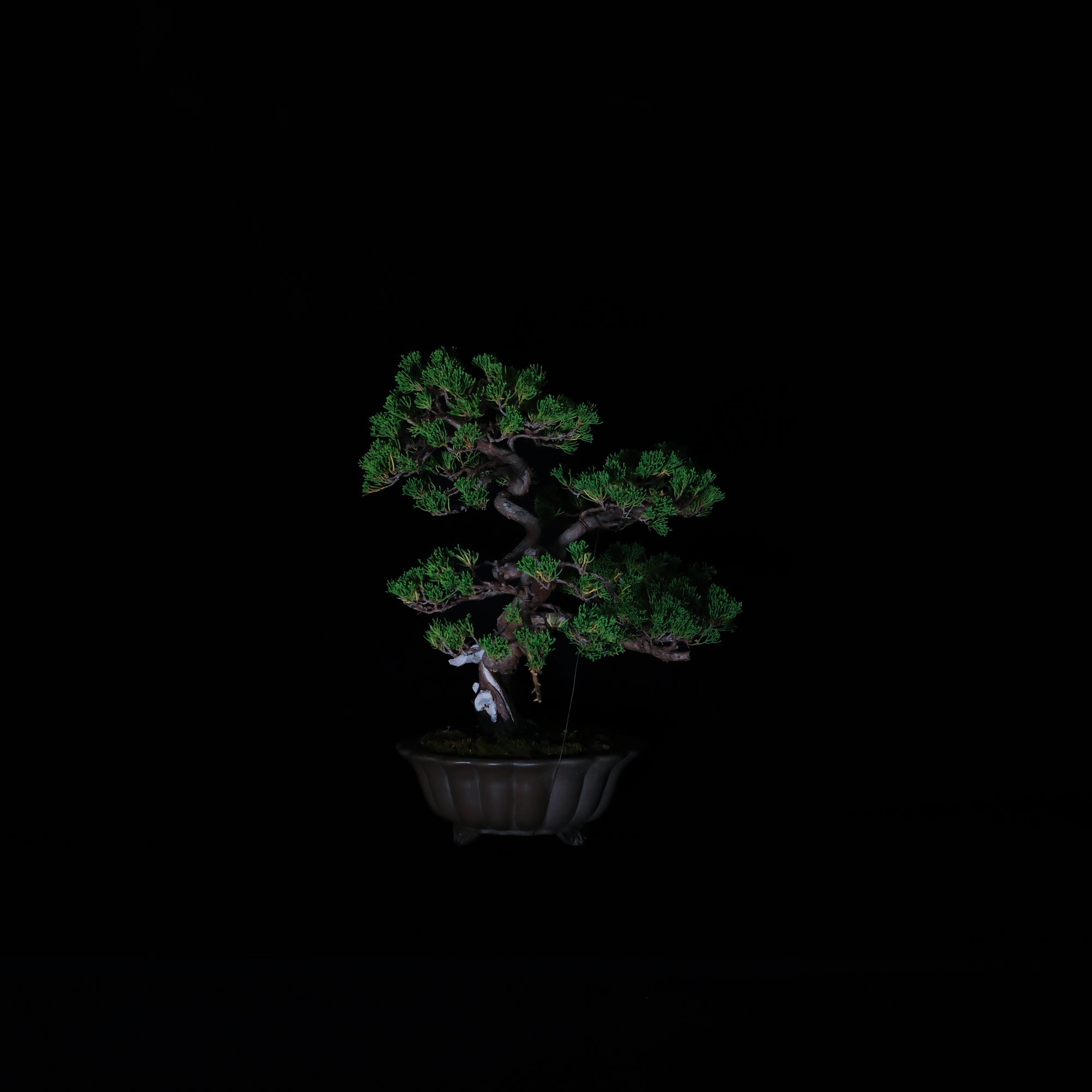 CODE: 26IJ007