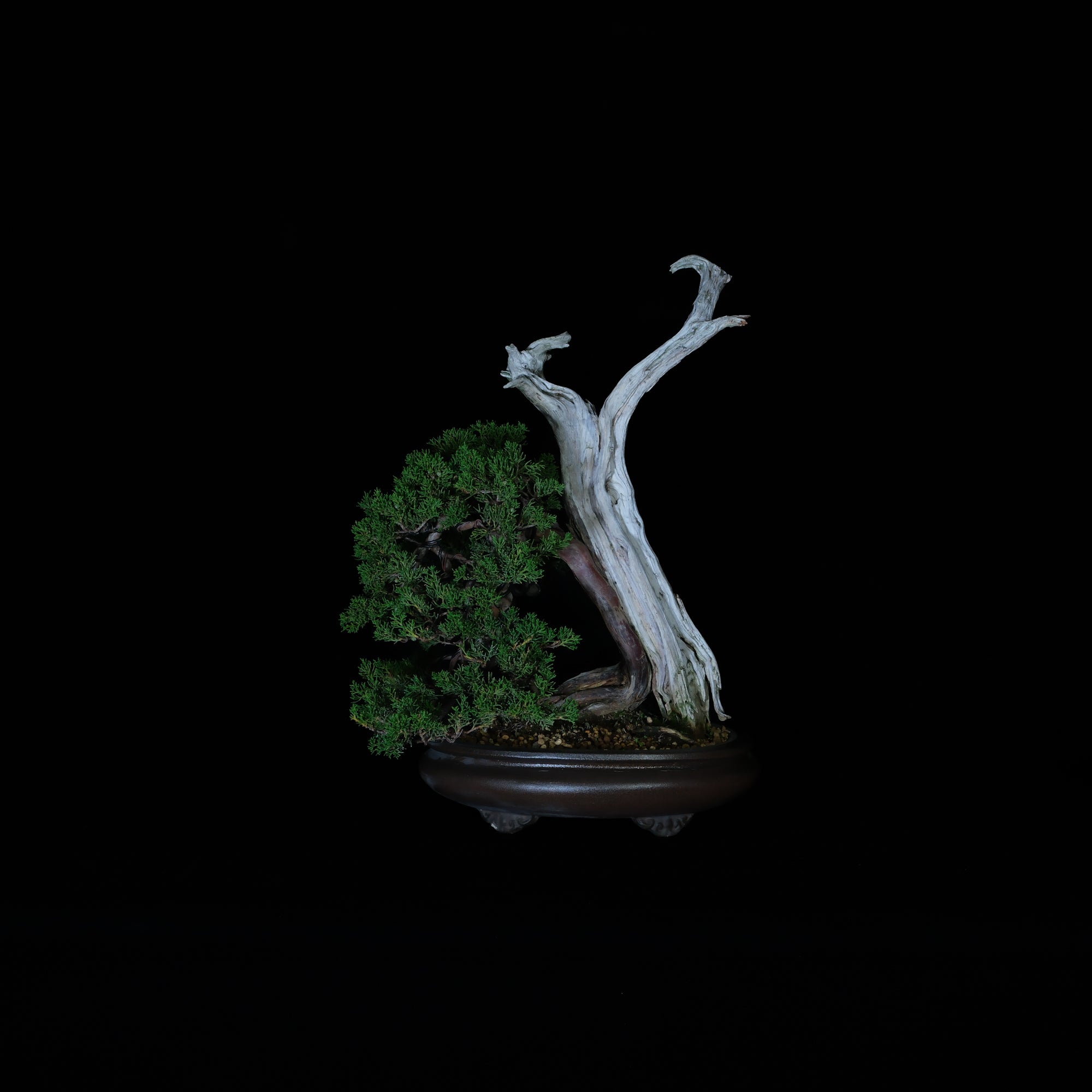 CODE: 26IJ008