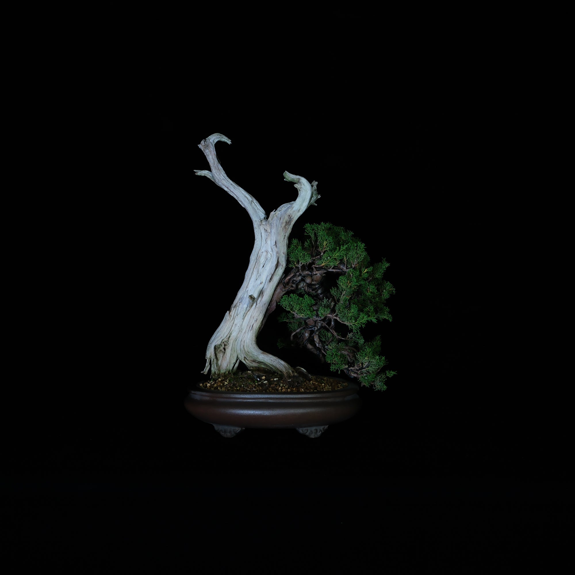 CODE: 26IJ008