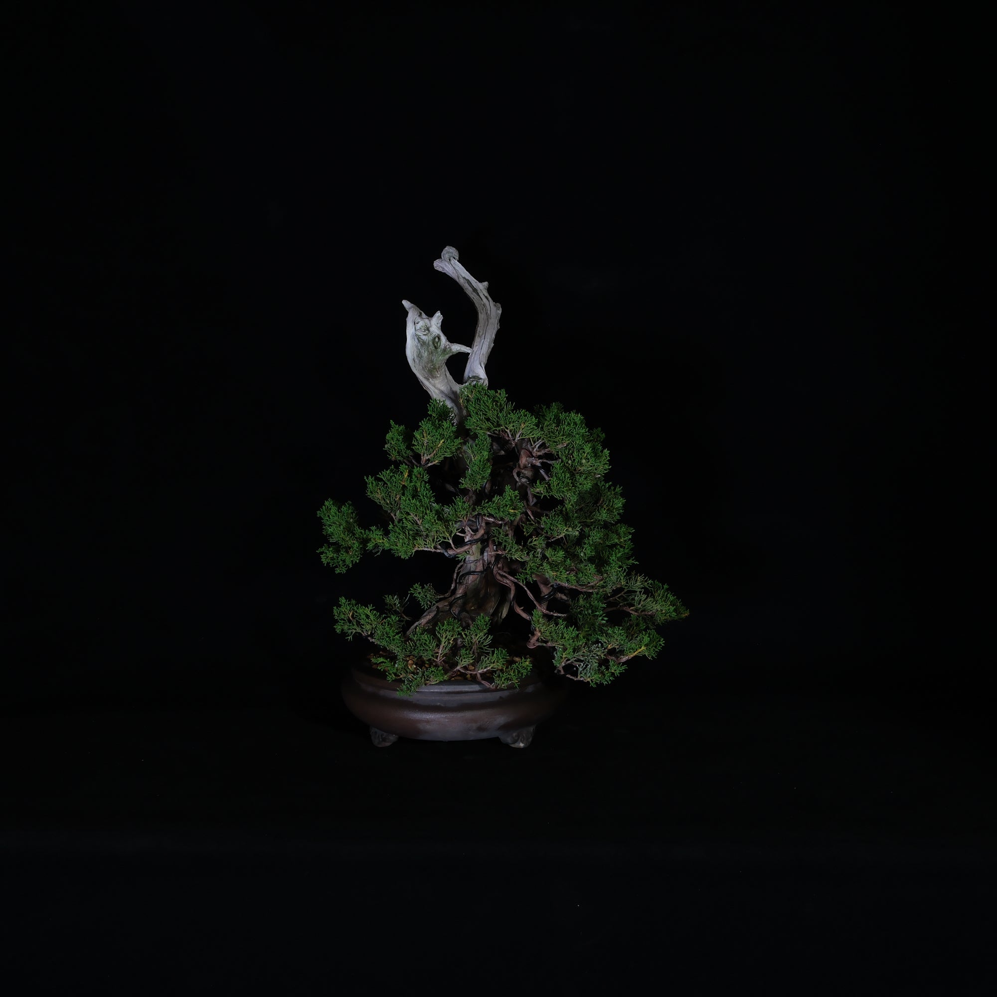 CODE: 26IJ008