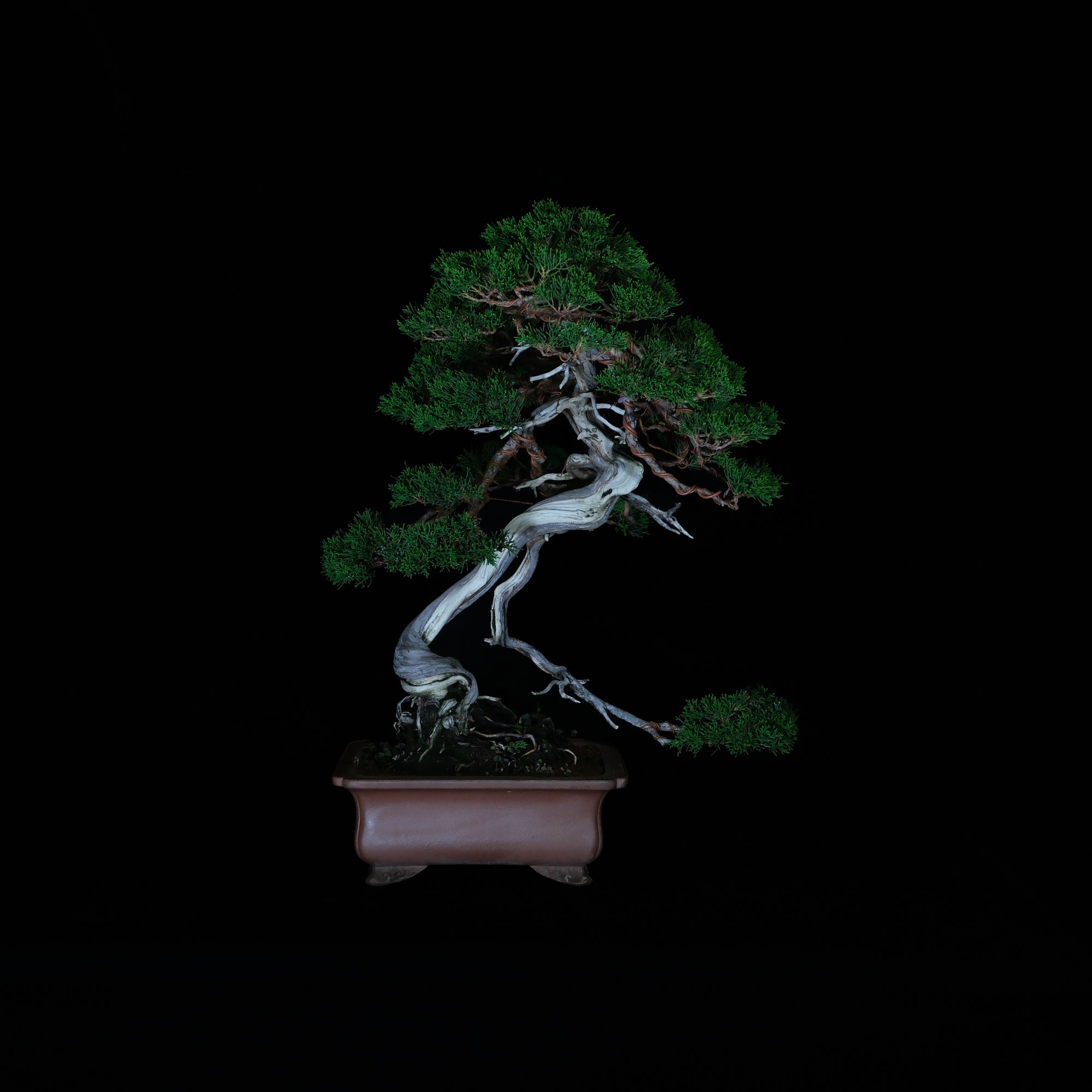 CODE: 25IJ007