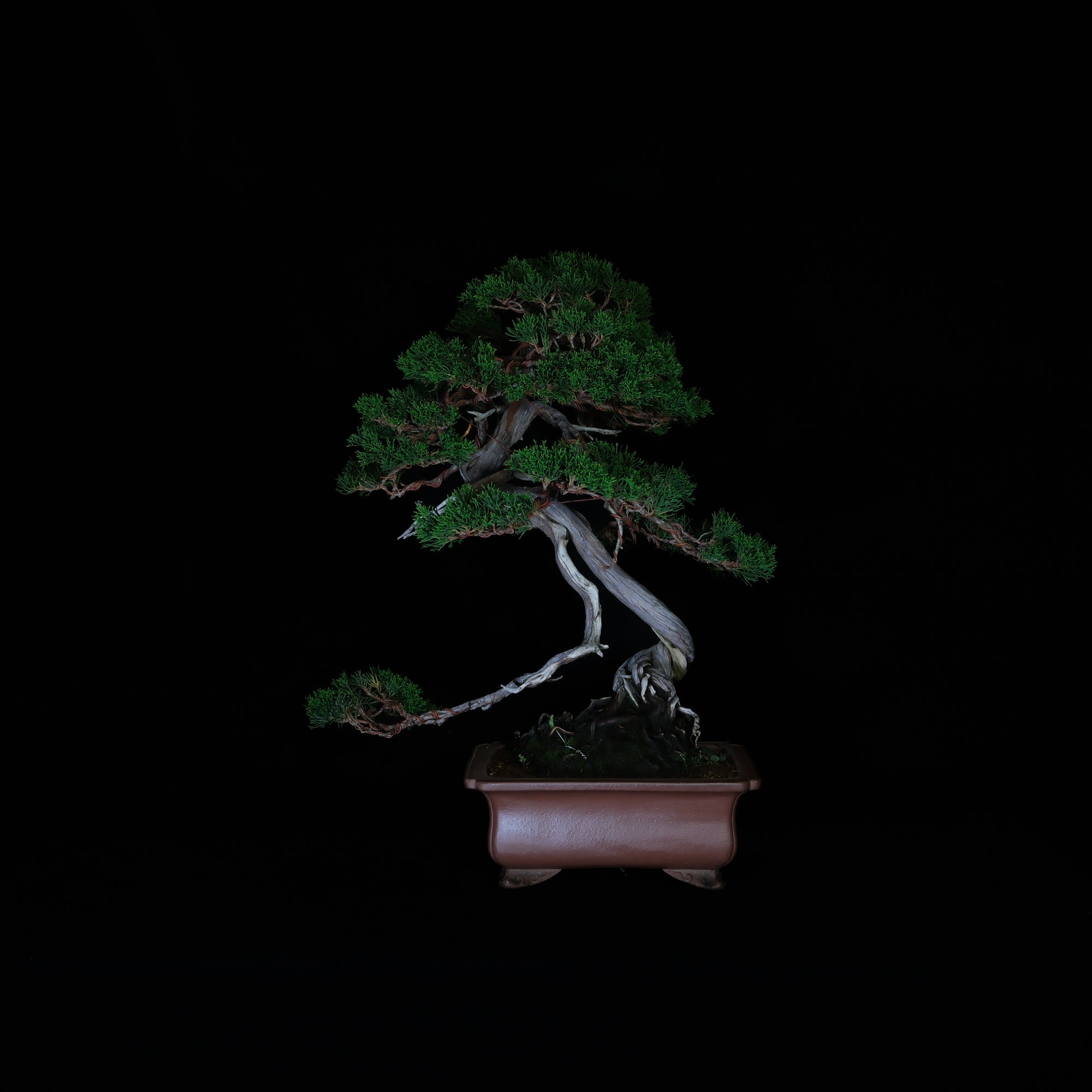 CODE: 26IJ009