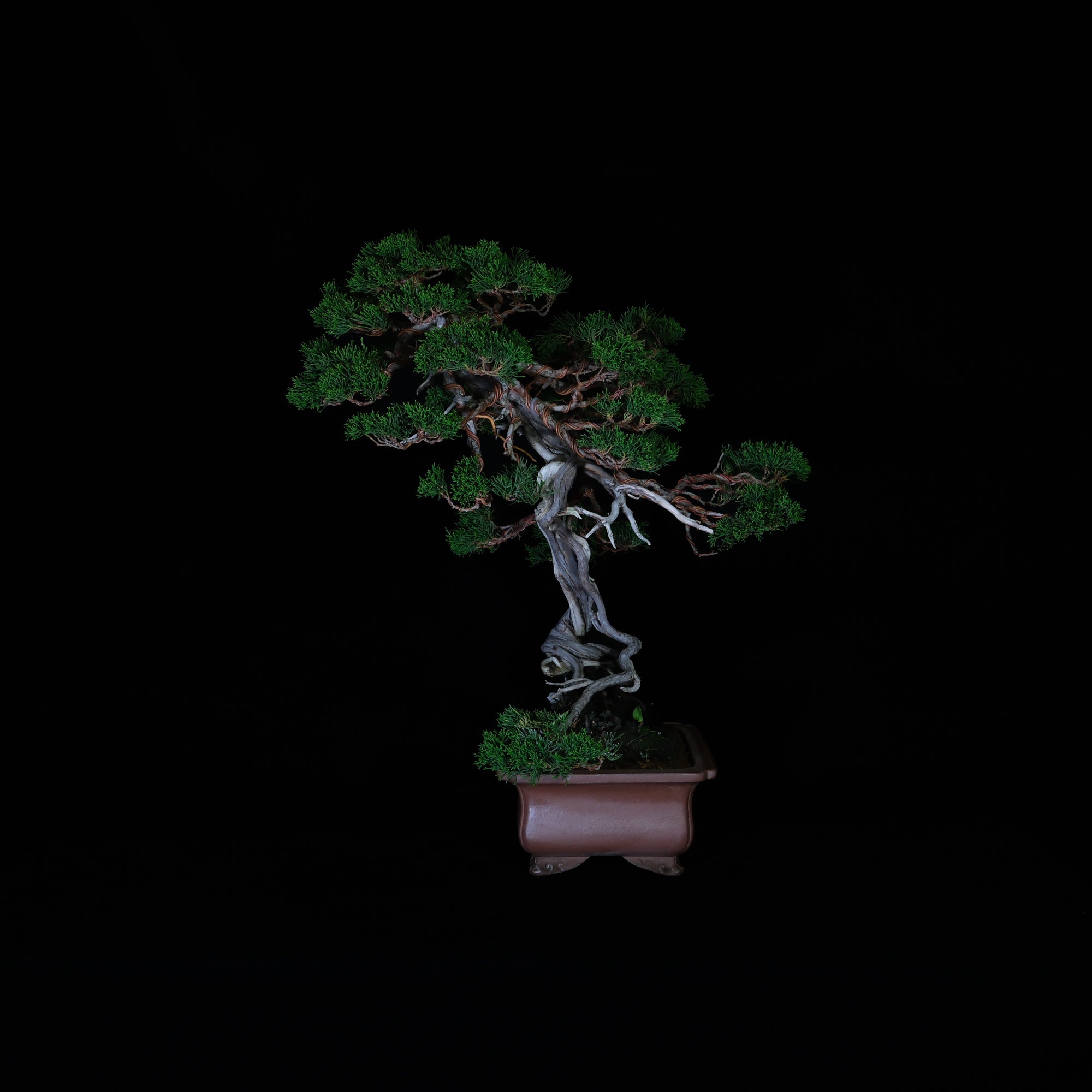 CODE: 26IJ009